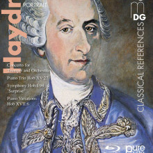 HAYDN PORTRAIT