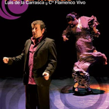 Flamenco por el mundo