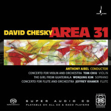 DAVID CHESKY: Area 31