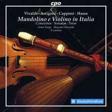 AA.VV.: Mandolino e violino in Italia