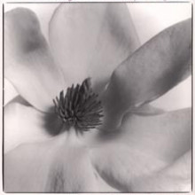 DE VISEE: Suites per liuto - tiorba - 
chitarra