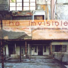 PETER EPSTEIN: The Invisible