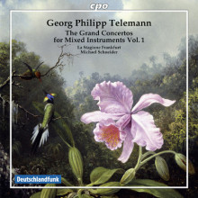 Telemann: The Grand Concertos.....vol.1