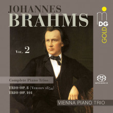 BRAHMS: Piano Trio - Vol.2