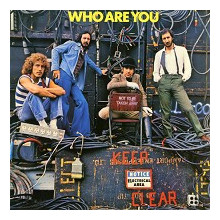 THE WHO: Who are you (QUIEX SV - P 200 grammi)