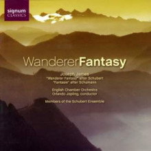 Schubert: Wanderer Fantasy