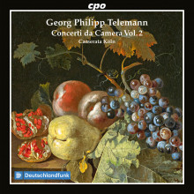 TELEMANN: Concerti da camera - Vol.2