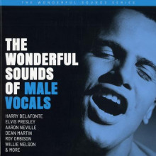 AA.VV. : The wonderful sounds of male vocals