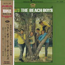 THE BEACH BOYS: The Best of the Beach Boys