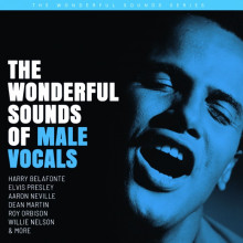 AA.VV.: The Wonderful Sounds of Male Vocals