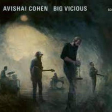 AVISHAI COHEN: Big Vicious